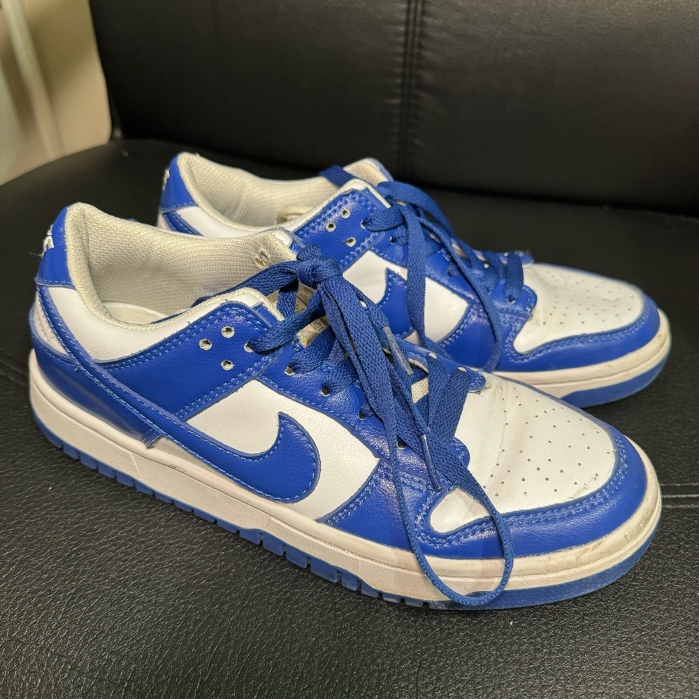 Authentic Nike dunk retro SP ‘Kentucky’